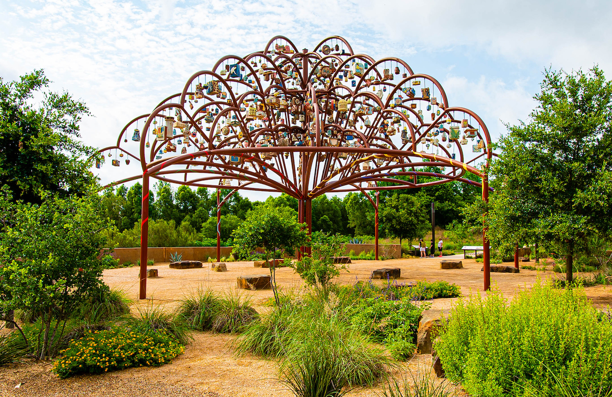 Arbol de la Vida: Memorias y Voces de La Tierra